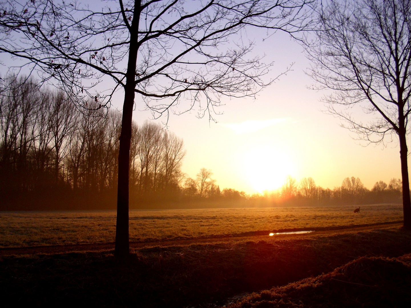 Morgenspaziergang