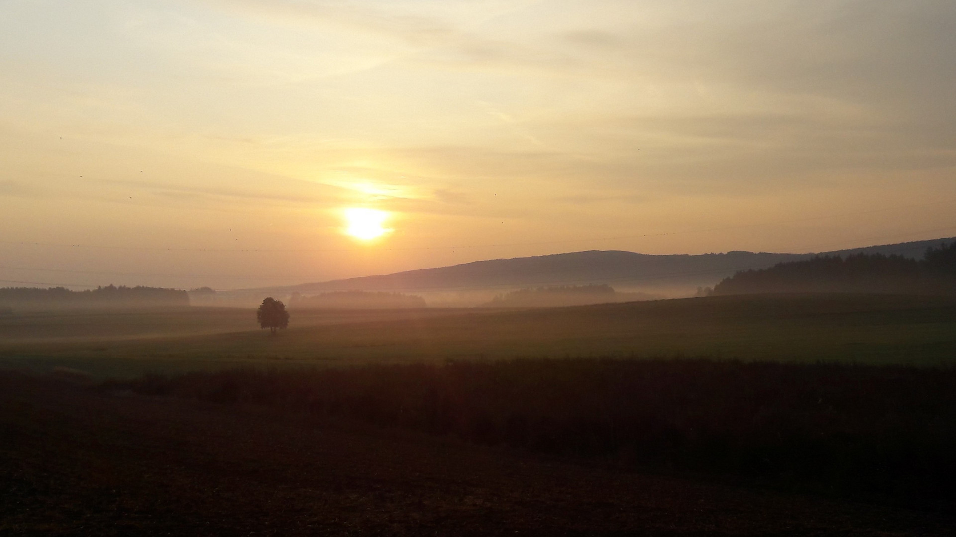 Morgenspaziergang  28.8.2019