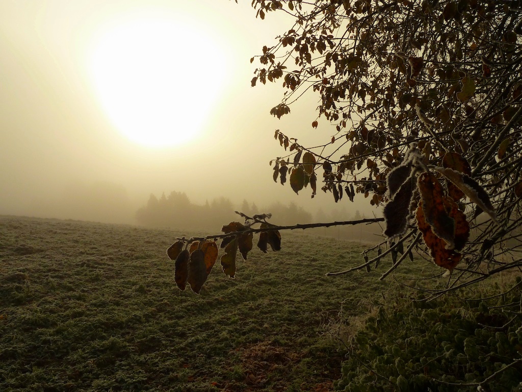 Morgenspaziergang...