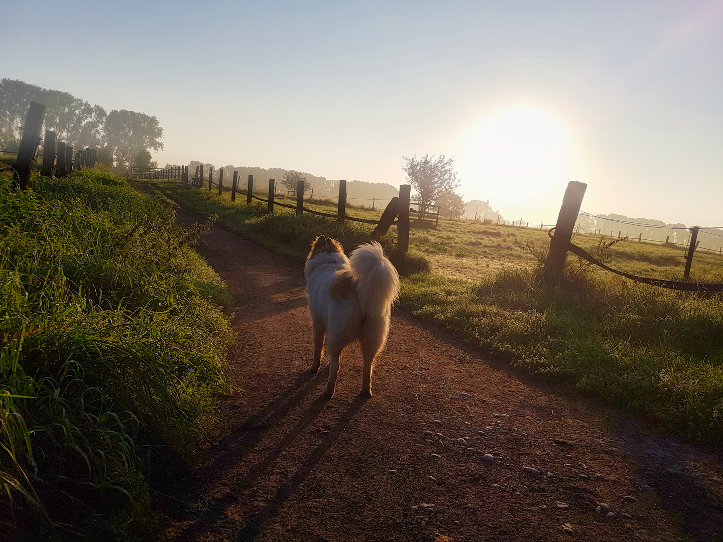 Morgenspaziergang