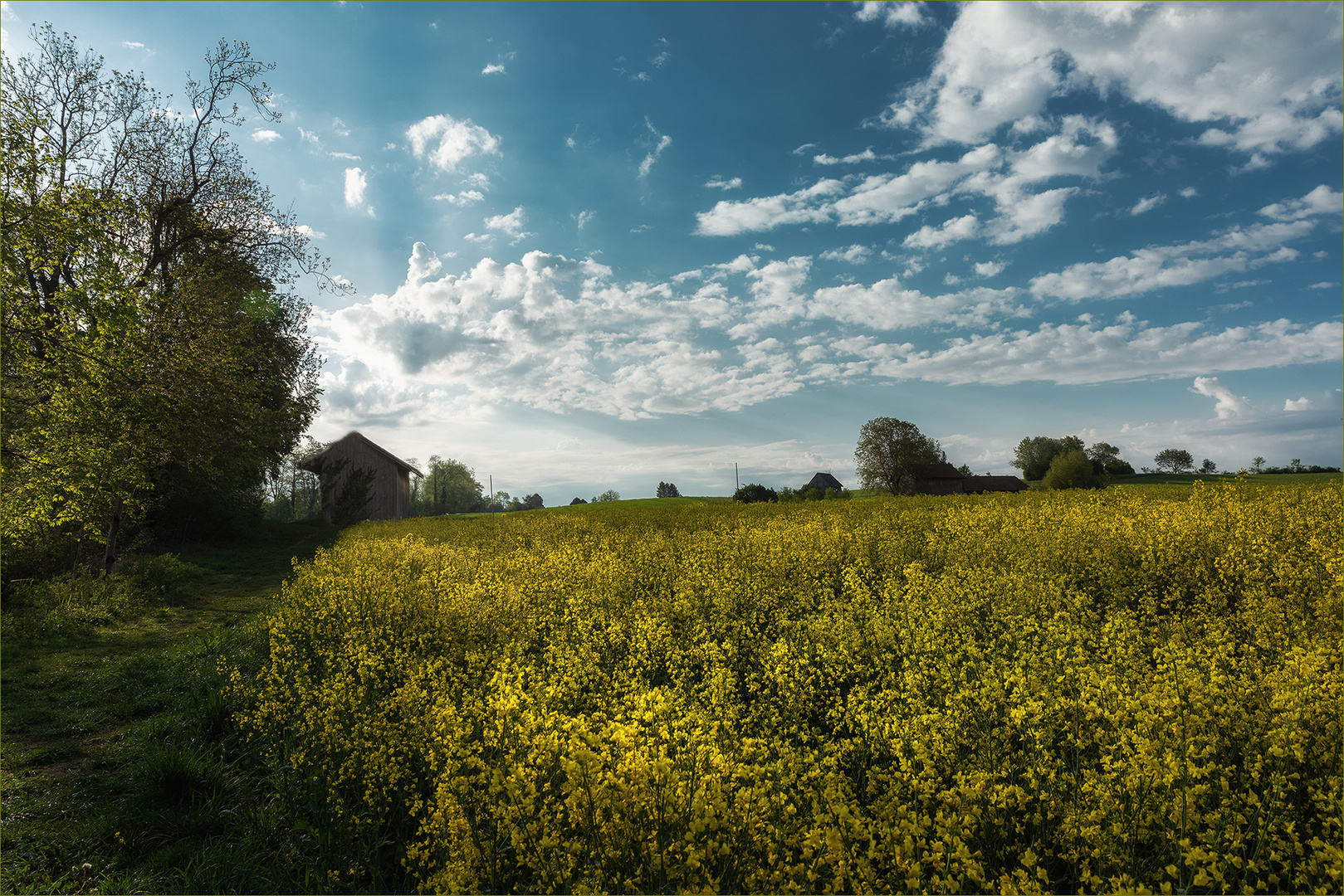 Morgenspaziergang