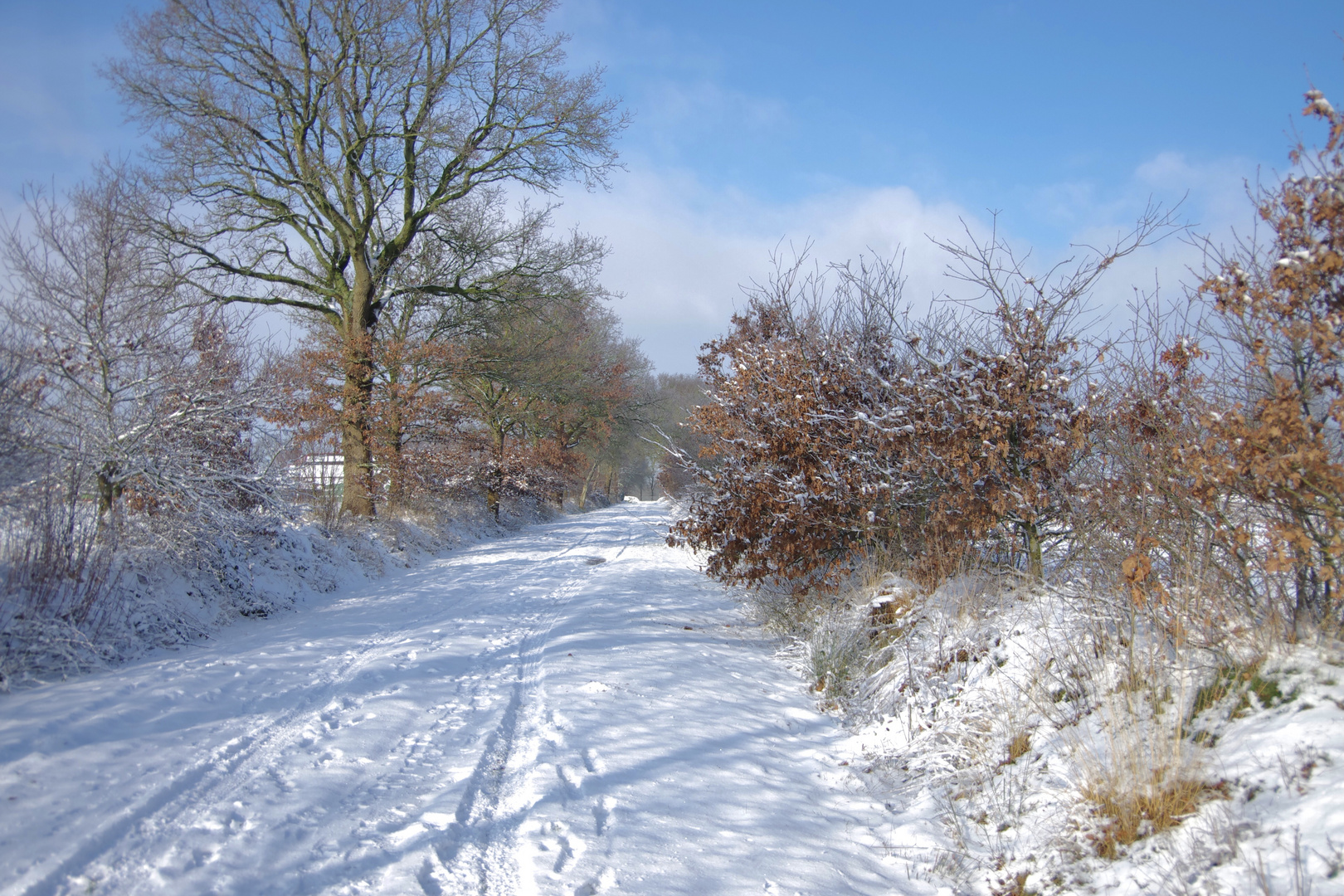 Morgenspaziergang (30.01.2021)