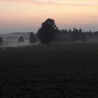 Morgenspaziergang 30.8.2019