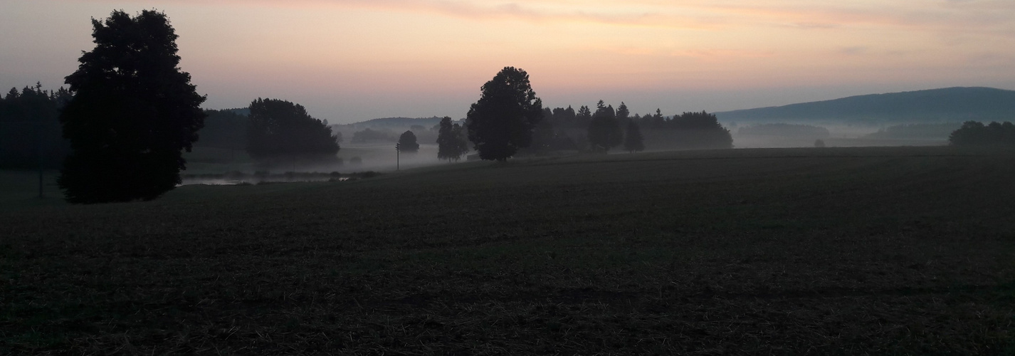 Morgenspaziergang 30.8.2019