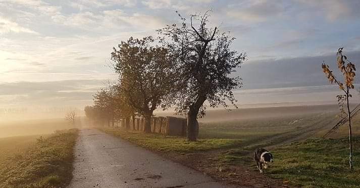 Morgenspaziergang