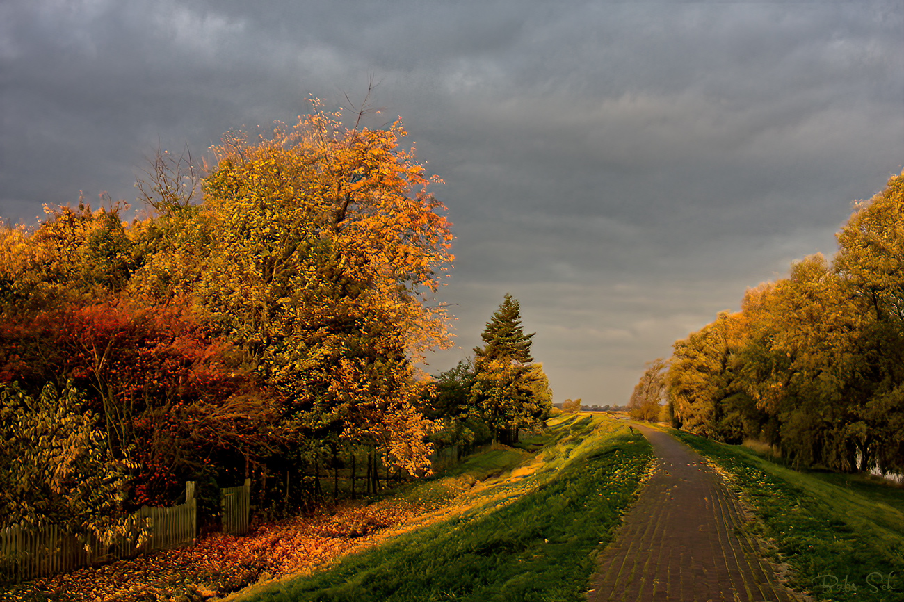 Morgenspaziergang