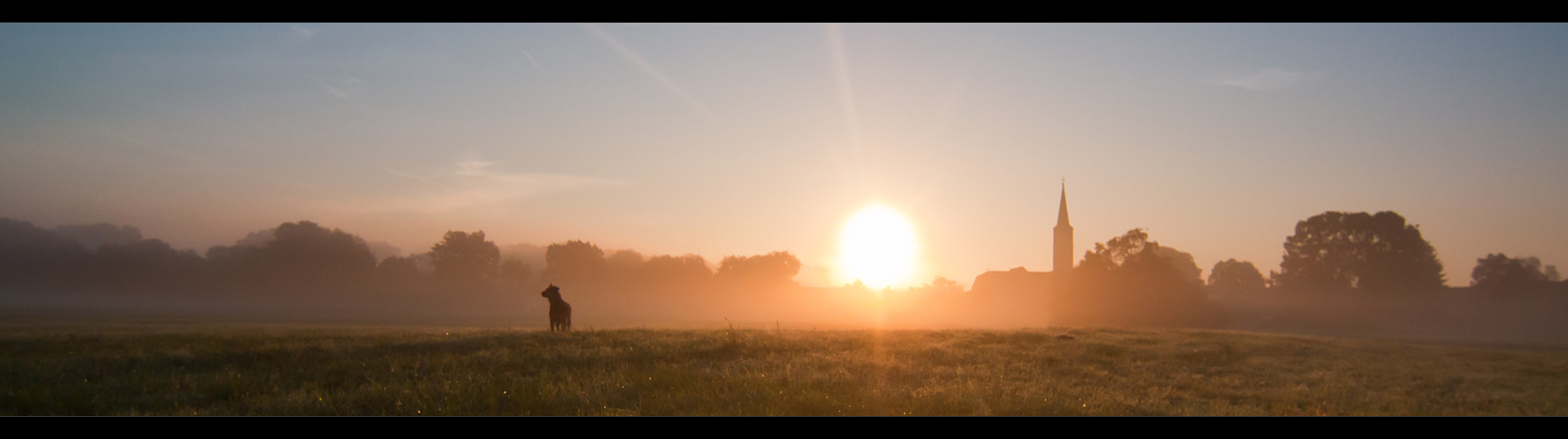 Morgenspaziergang