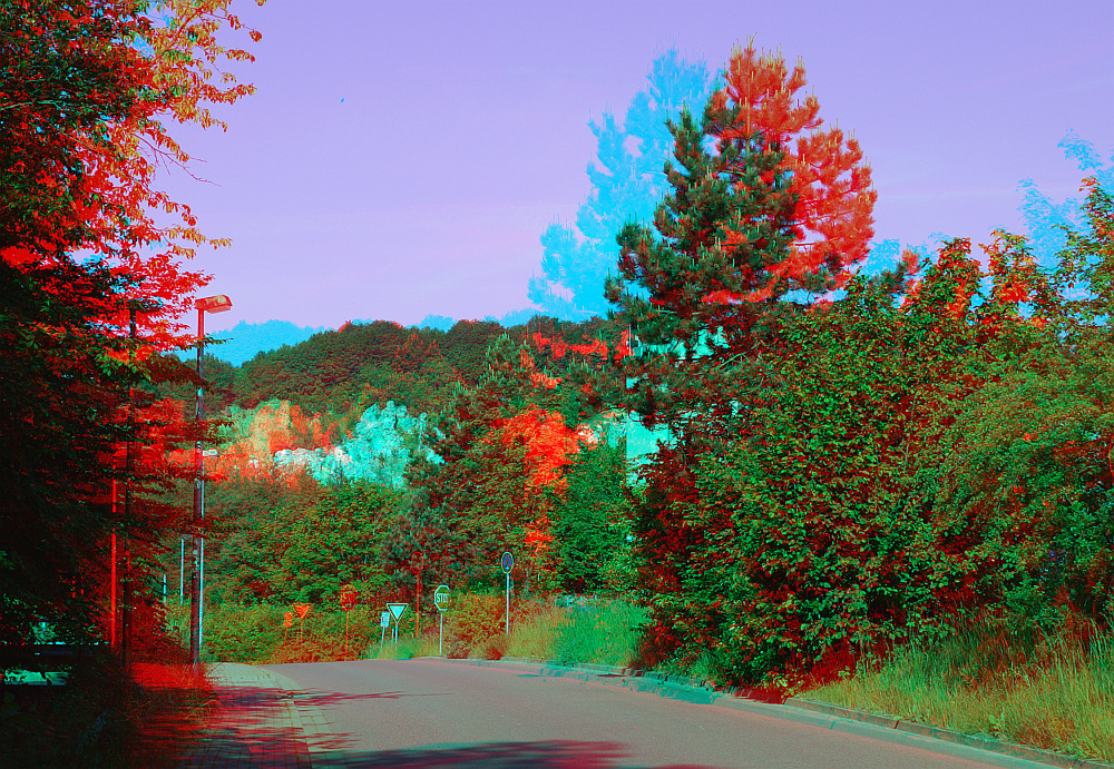 Morgenspaziergang 3D