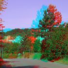 Morgenspaziergang 3D