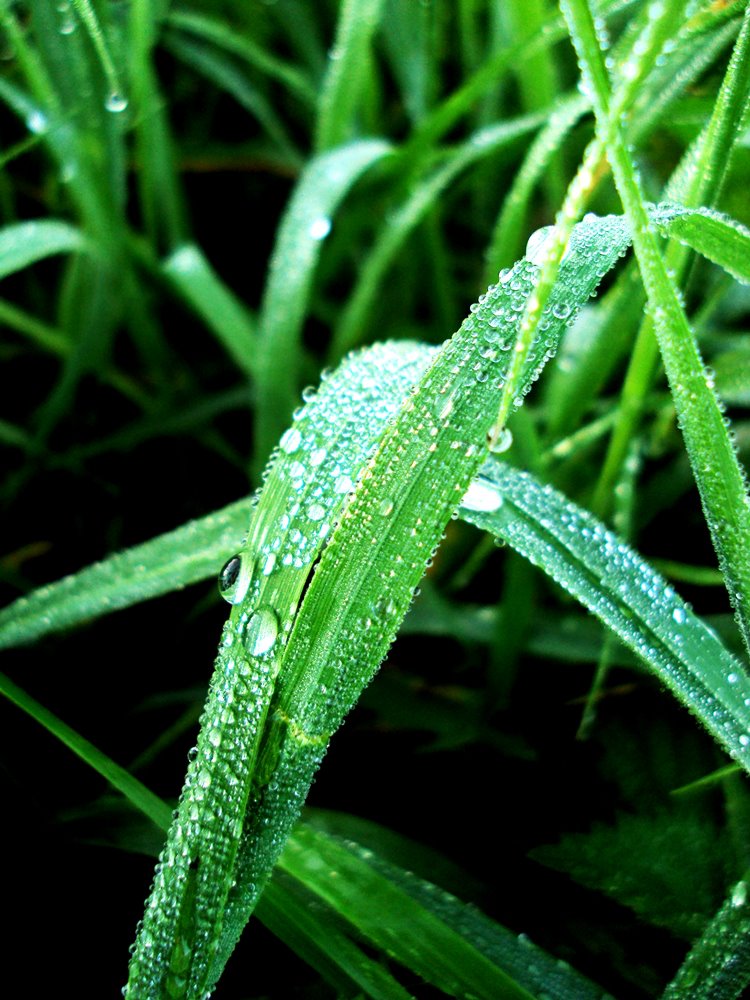 Morgenspaziergang