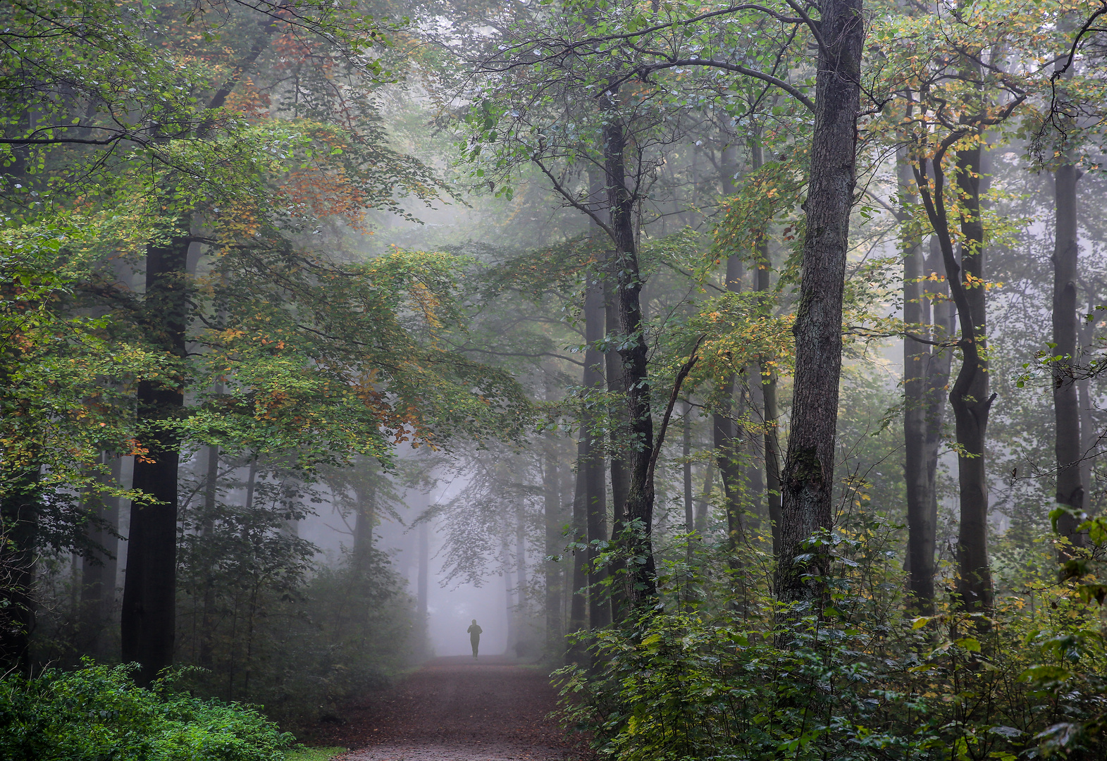 Morgenspaziergang...