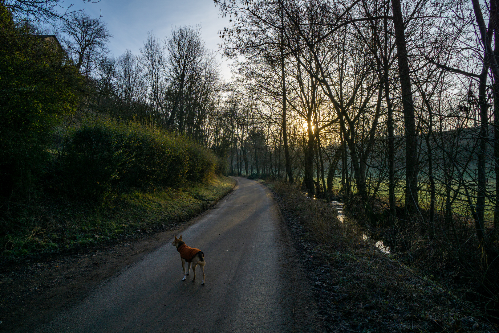 Morgenspaziergang