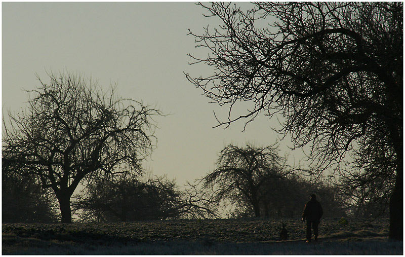 Morgenspaziergang...