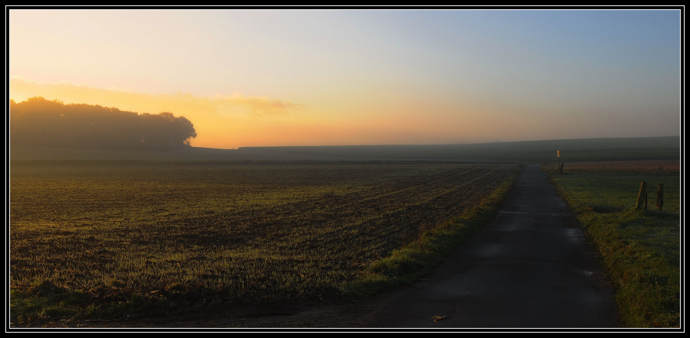 Morgenspaziergang