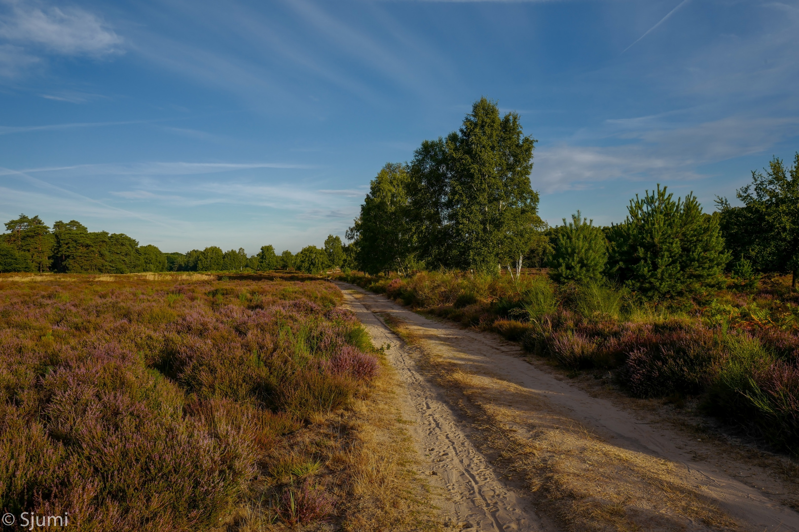 Morgenspaziergang 