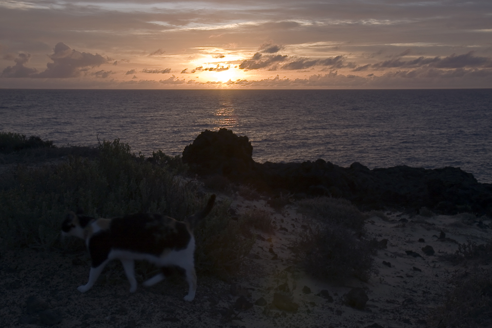 Morgenspaziergang