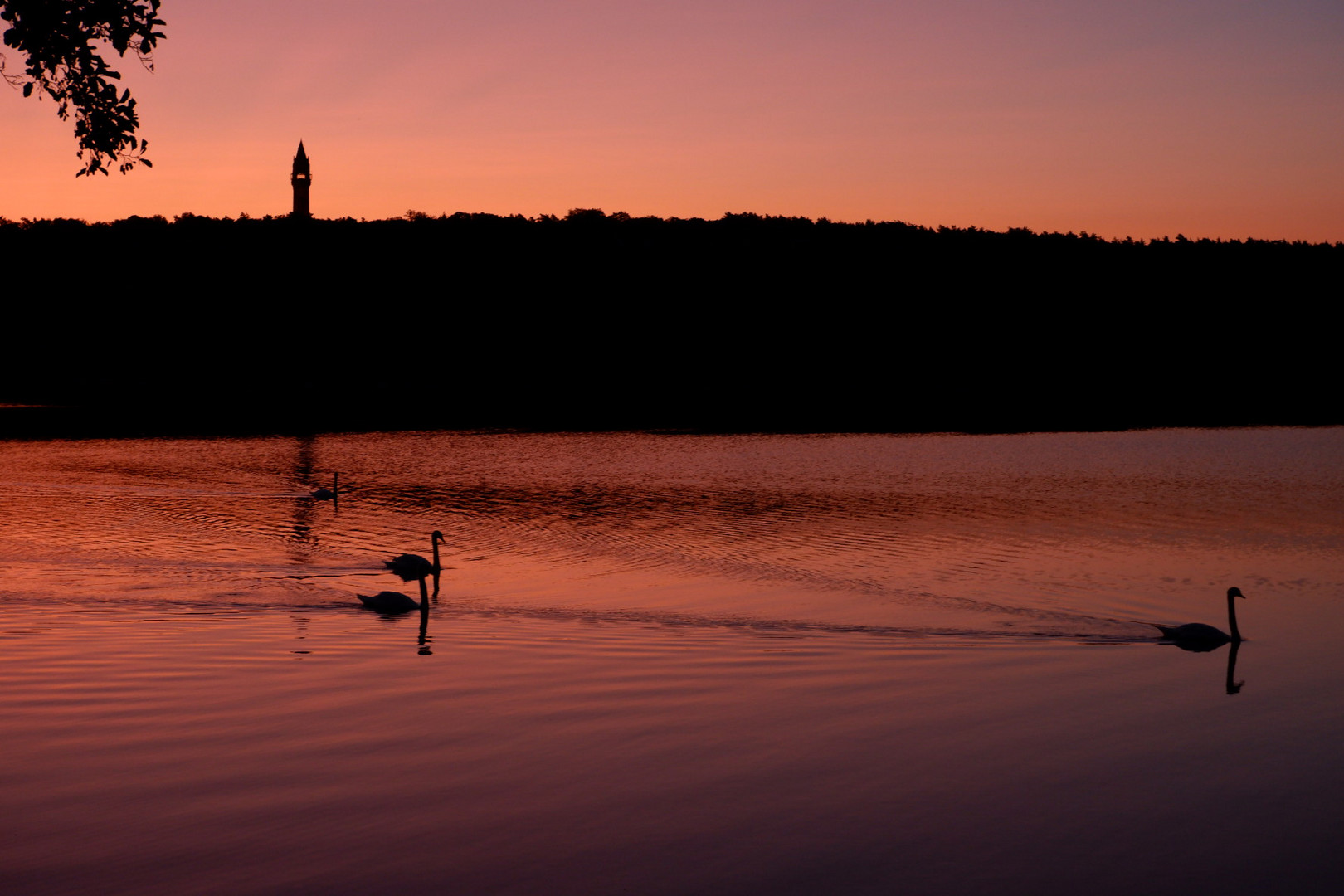 Morgenspaziergang