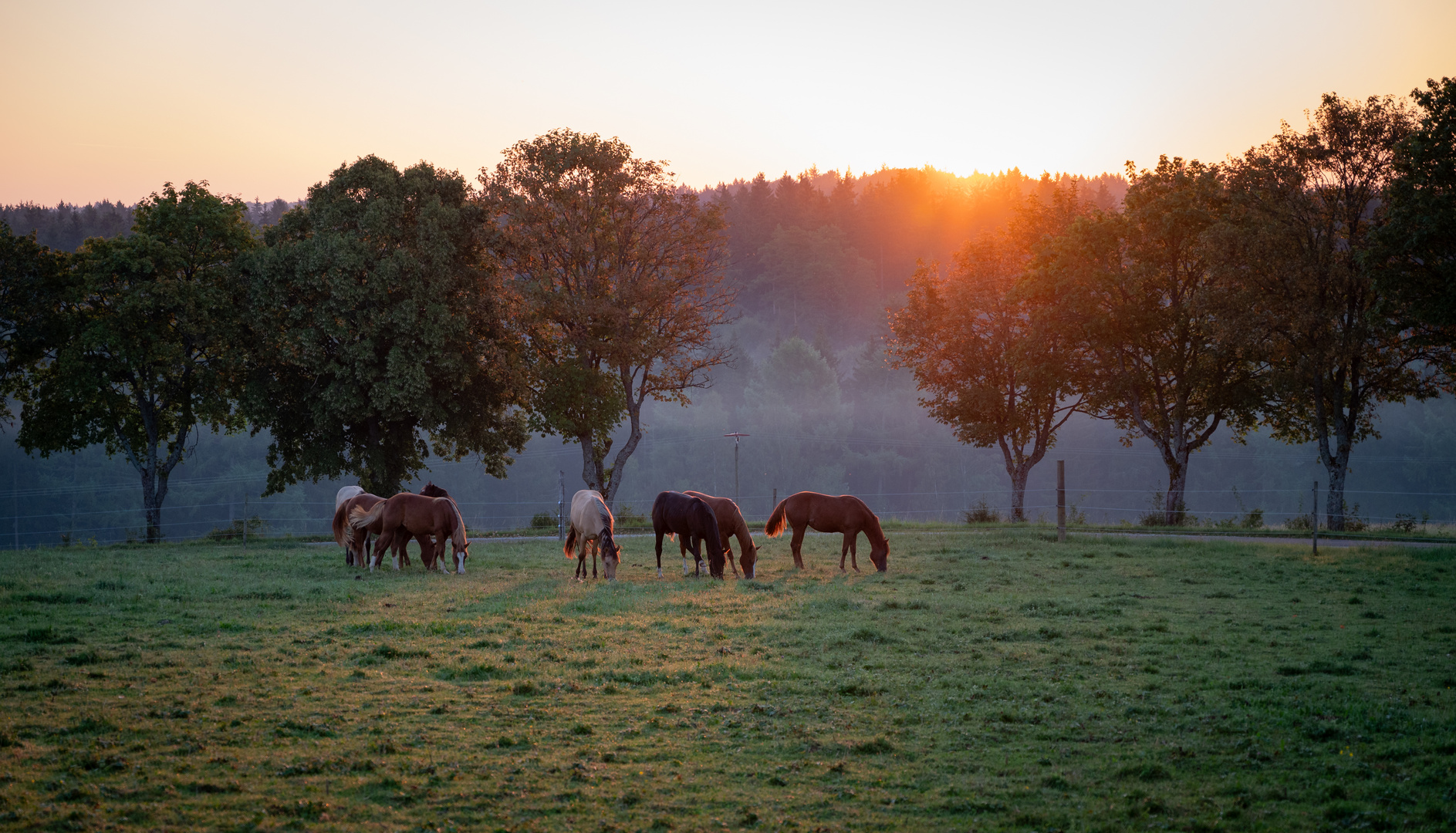 Morgenspaziergang