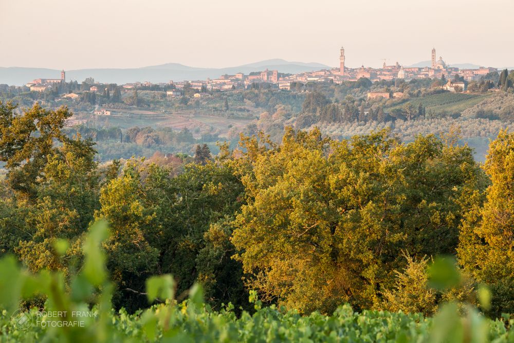 morgenspaziergang