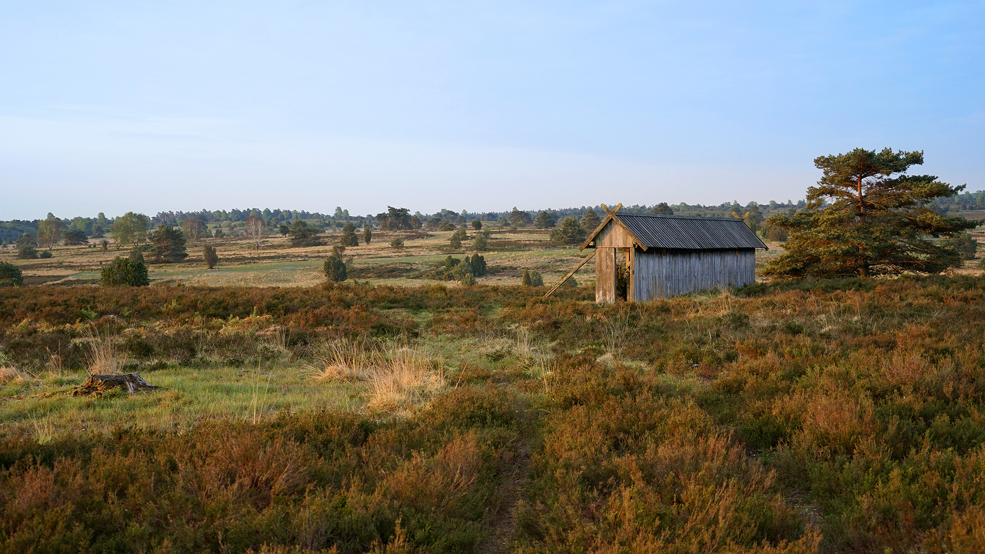 Morgenspaziergang