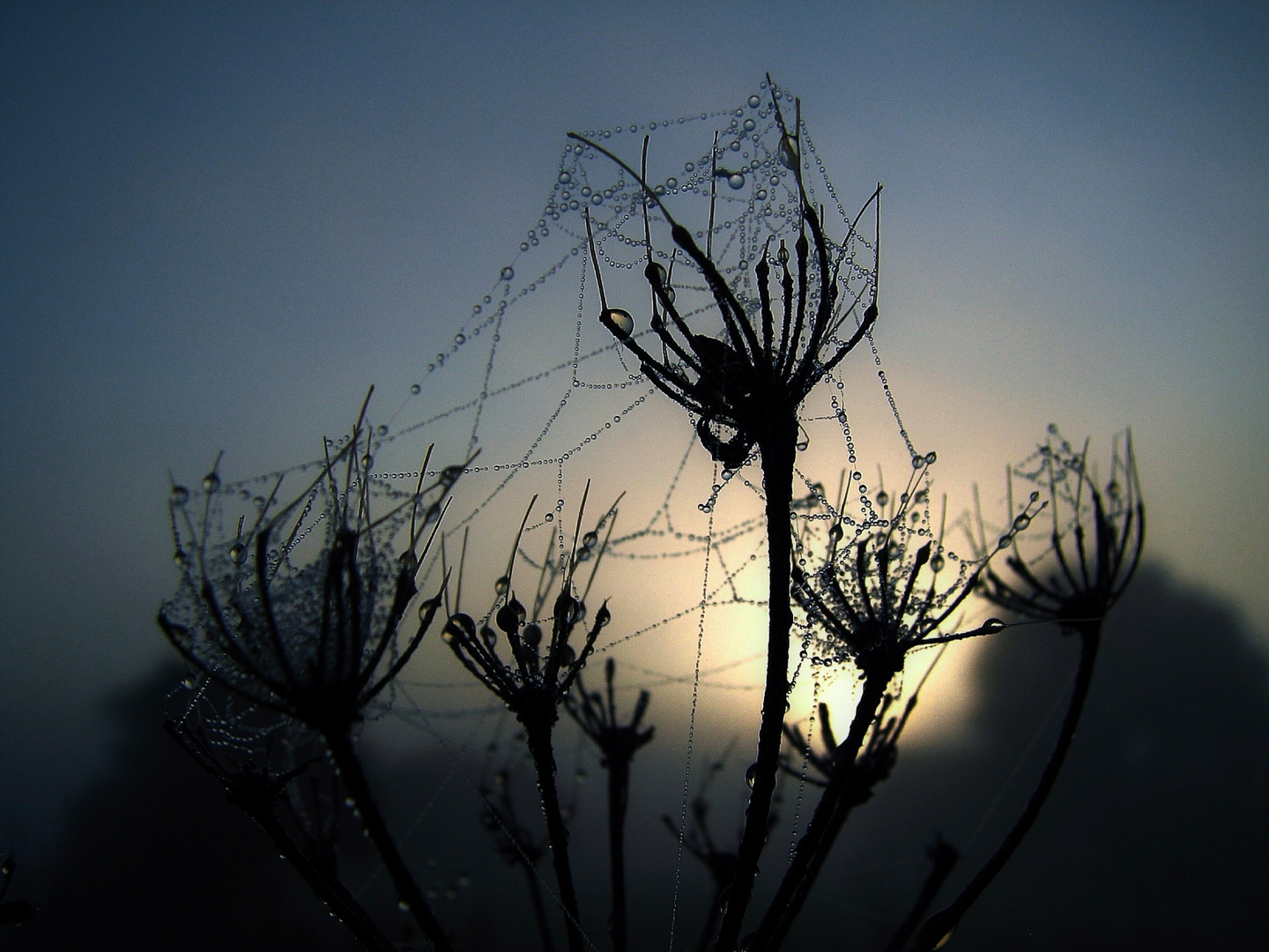 Morgenspaziergang