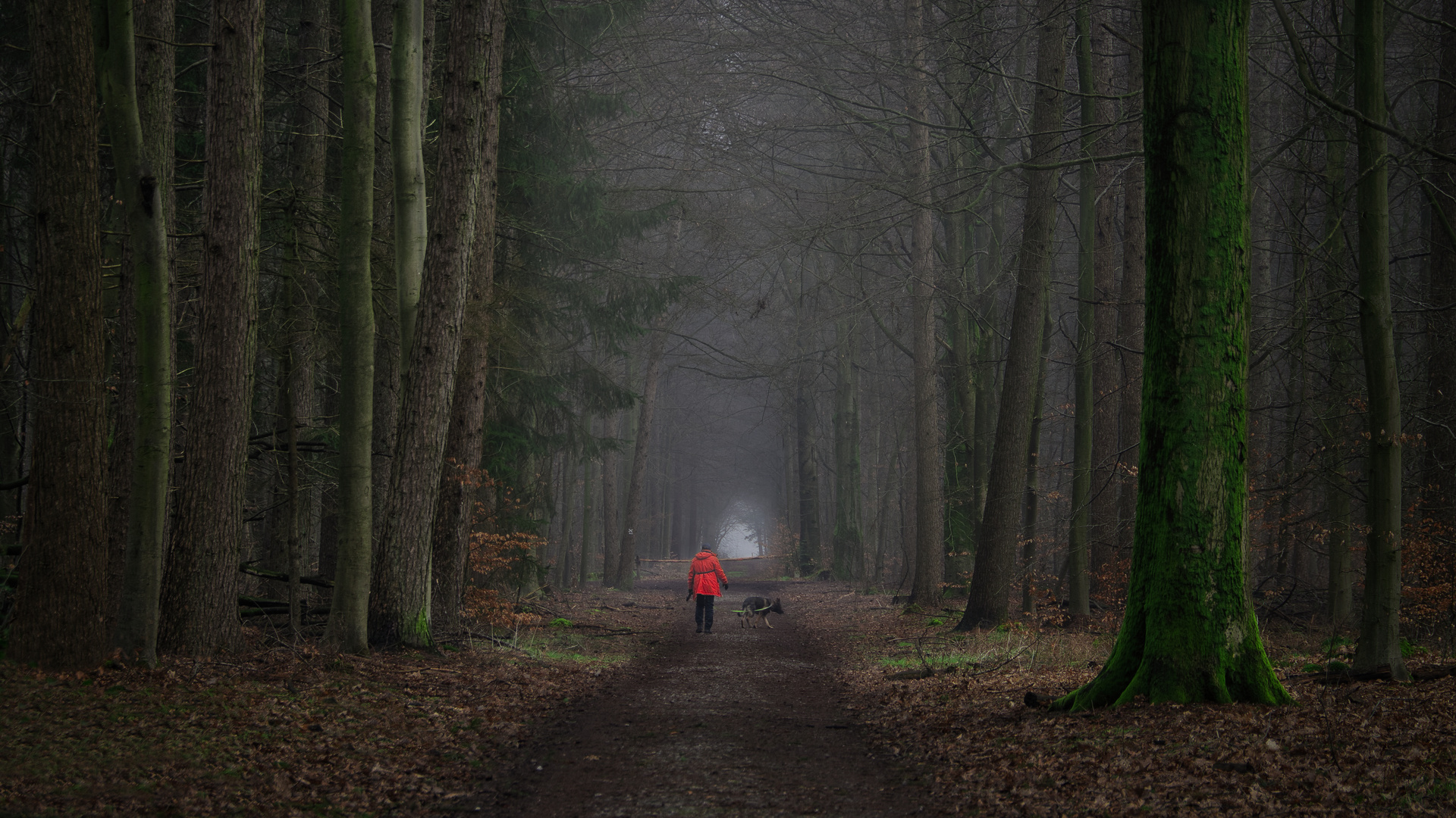 Morgenspaziergang