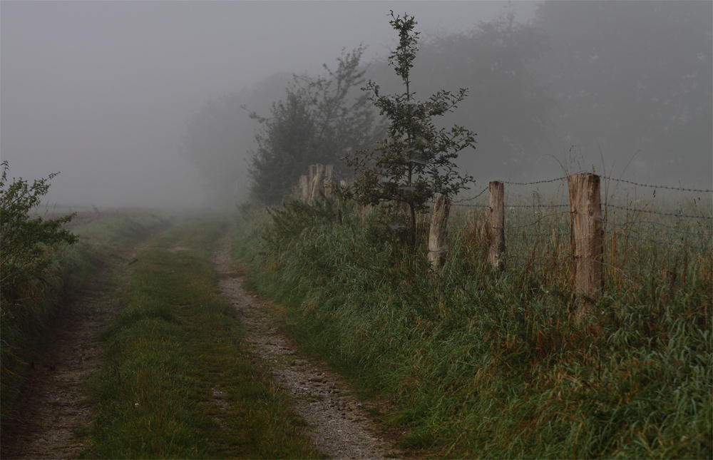 Morgenspaziergang