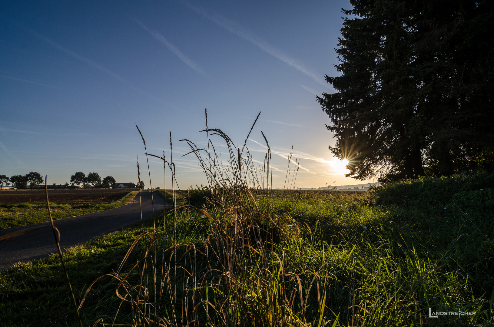 Morgenspaziergang