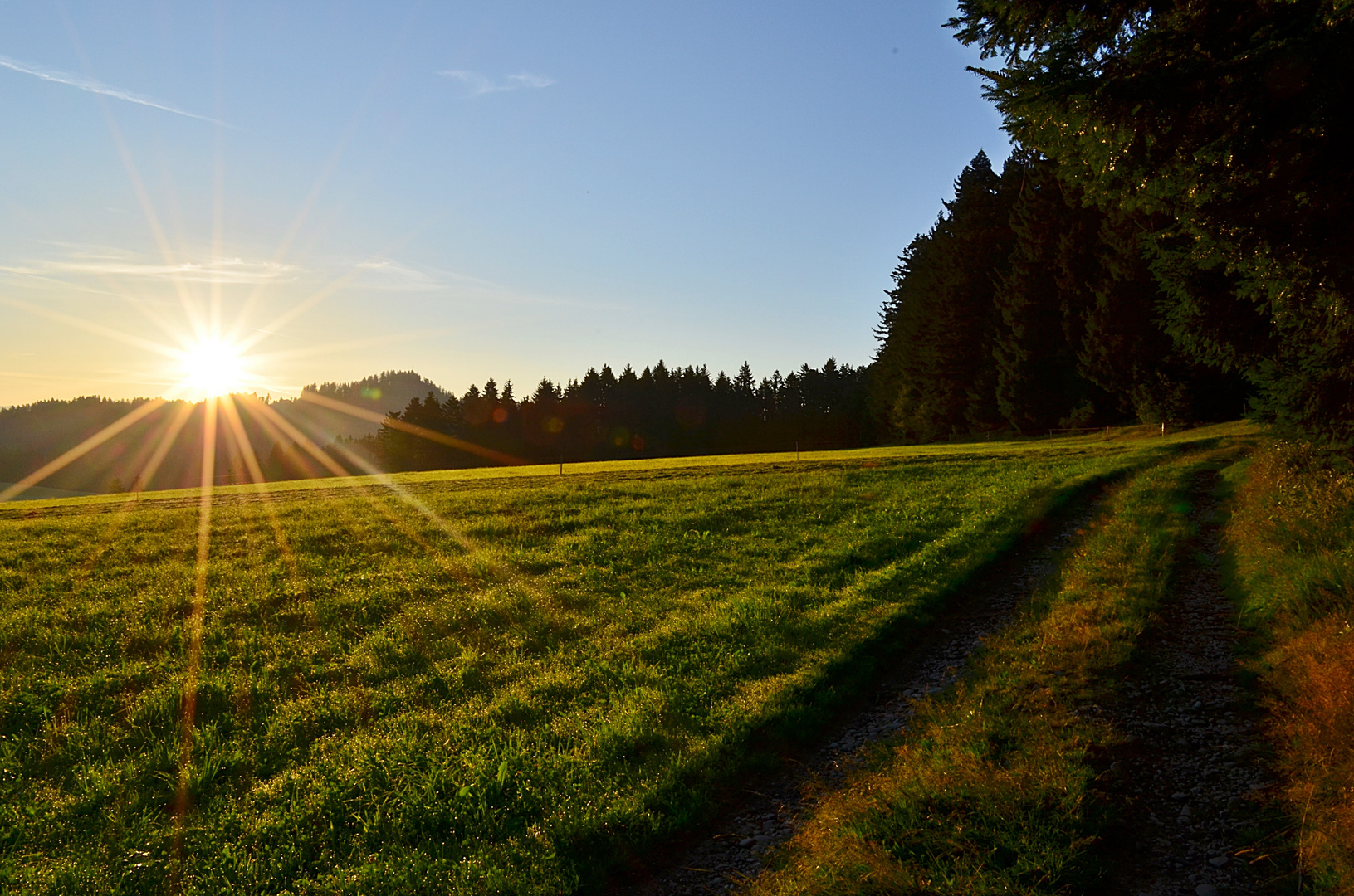 Morgenspaziergang