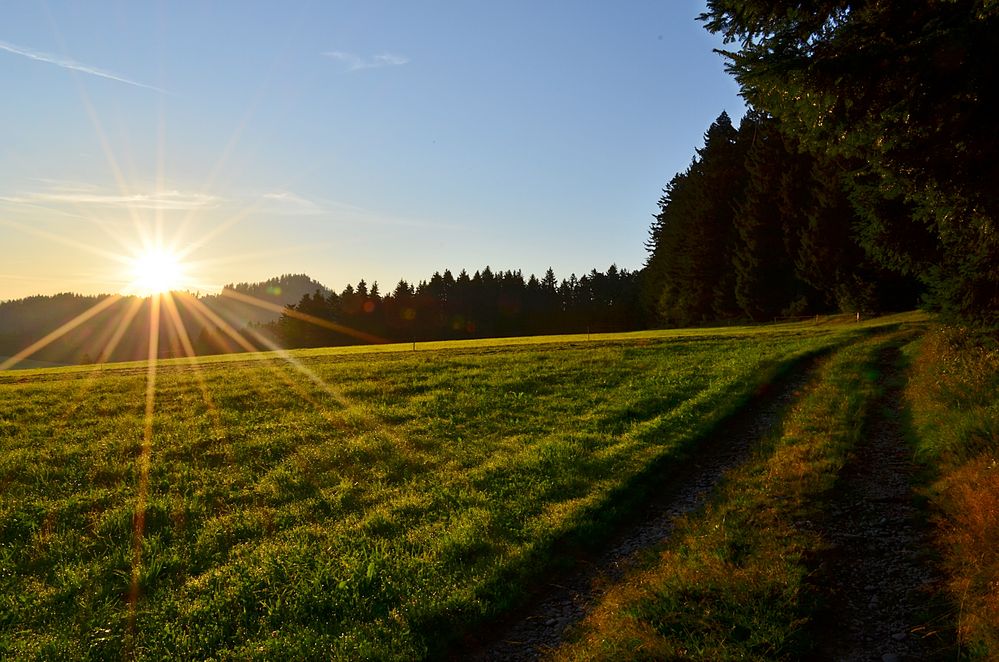 Morgenspaziergang