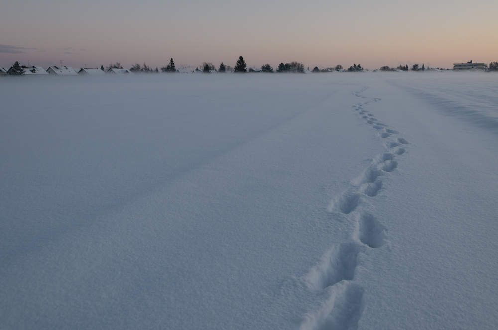 Morgenspaziergang