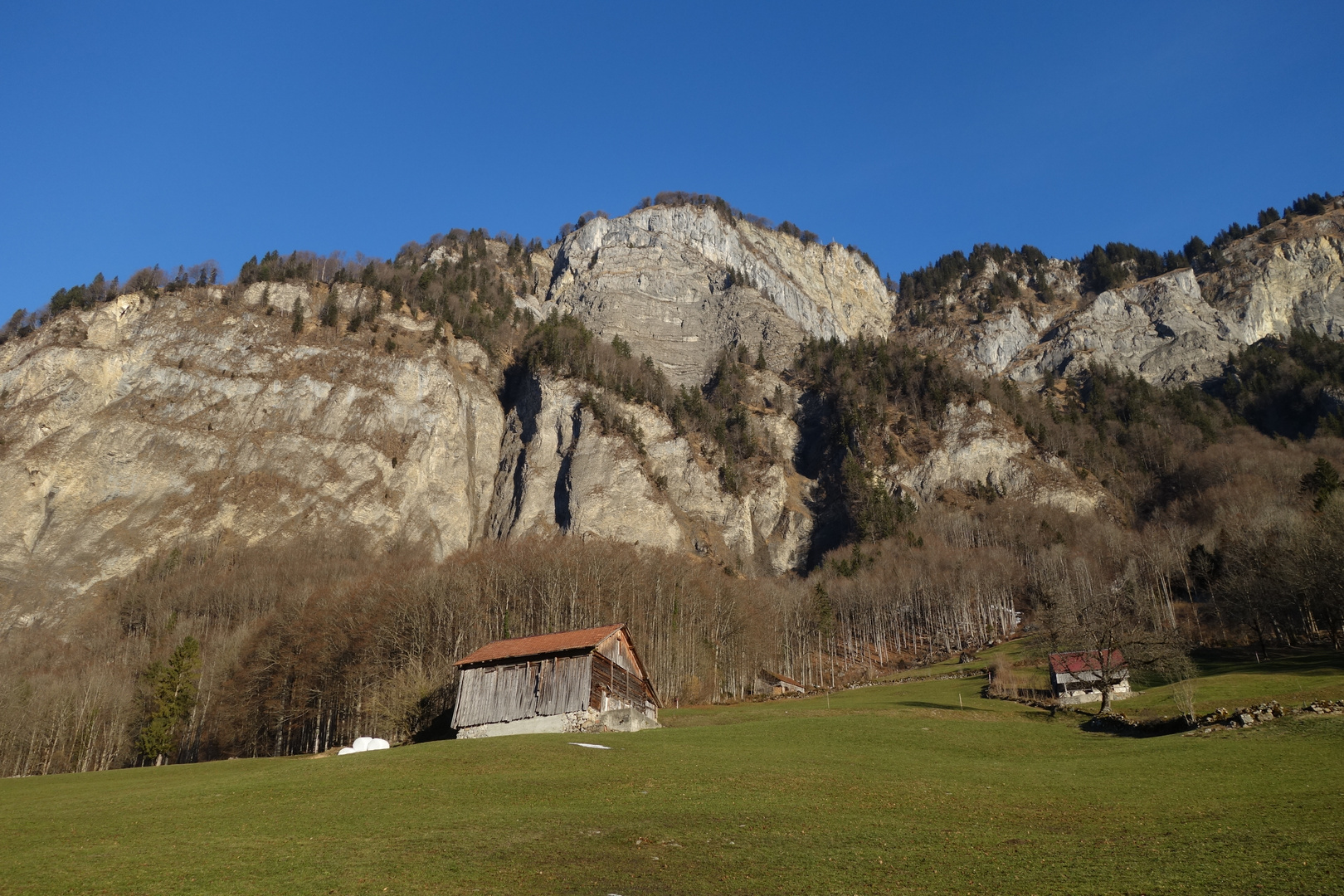 Morgenspaziergang