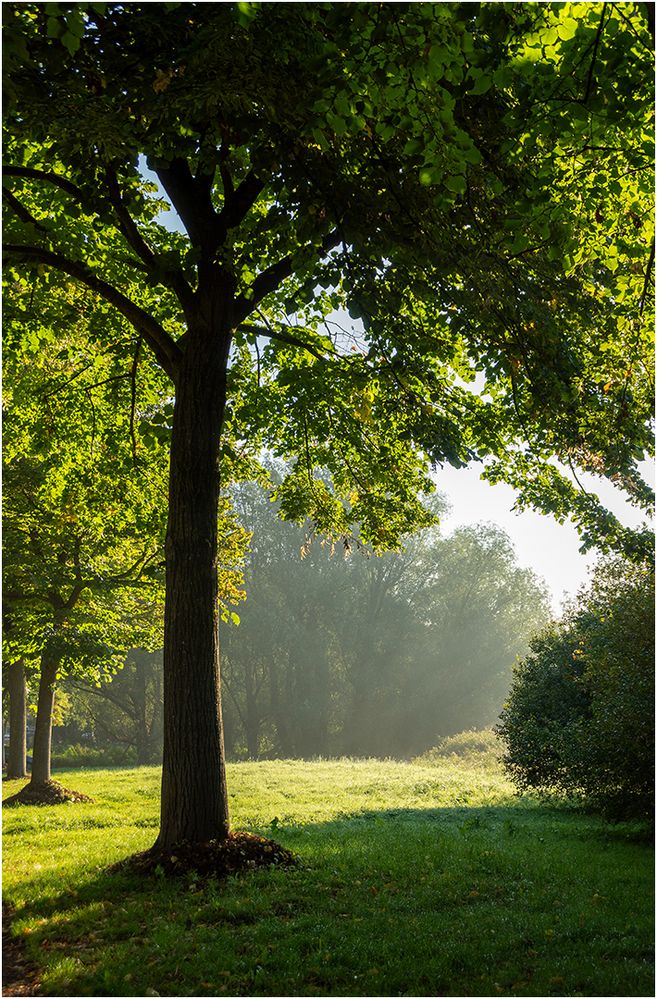 Morgenspaziergang