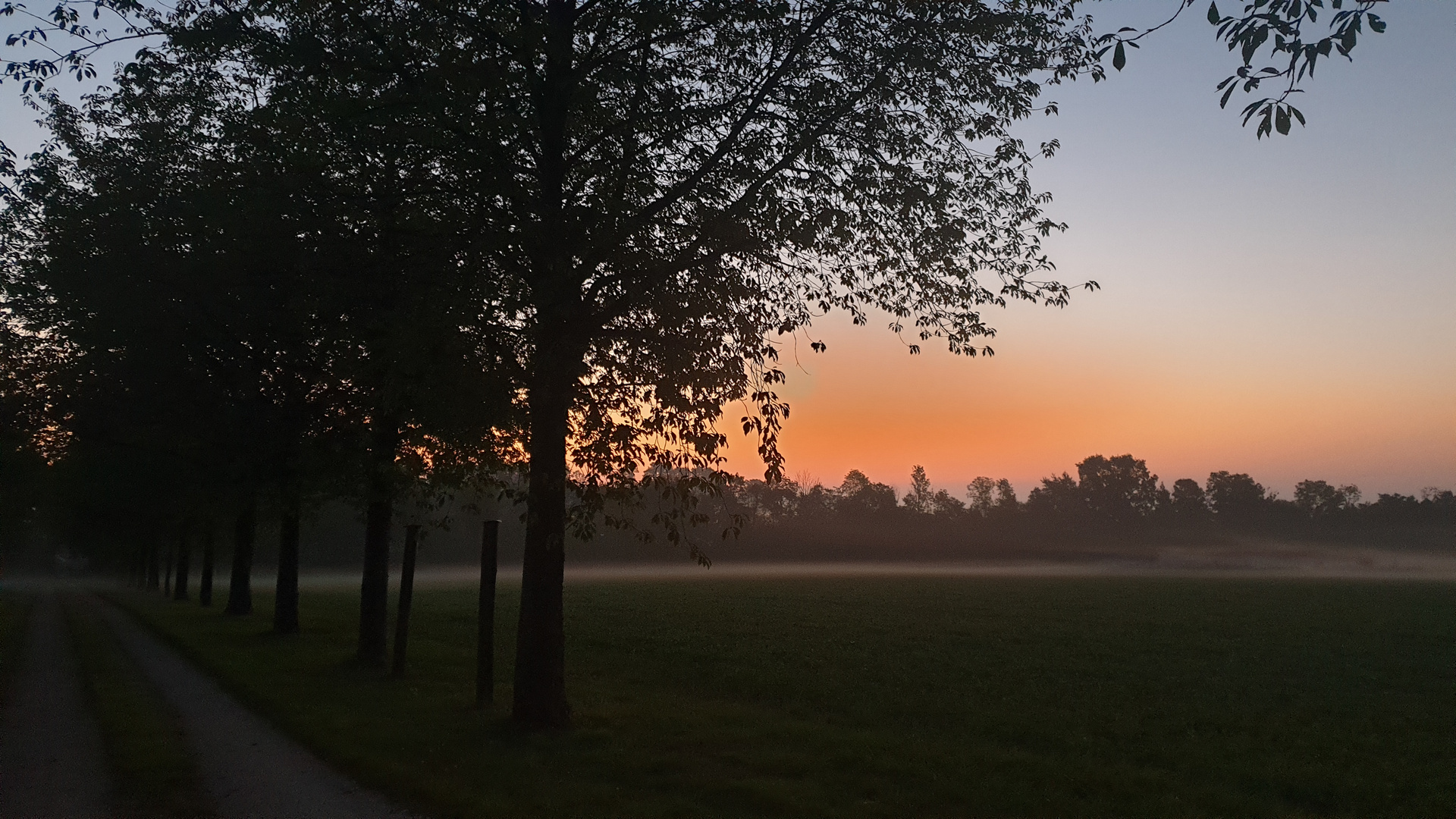 Morgenspaziergang