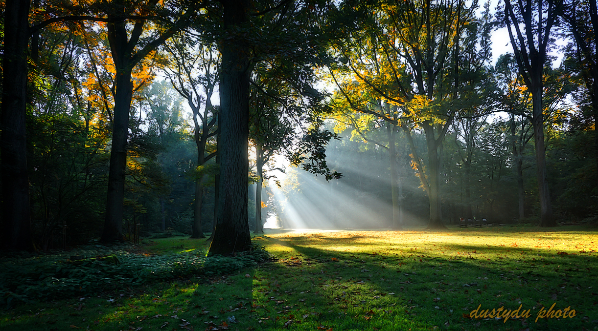 Morgenspaziergang