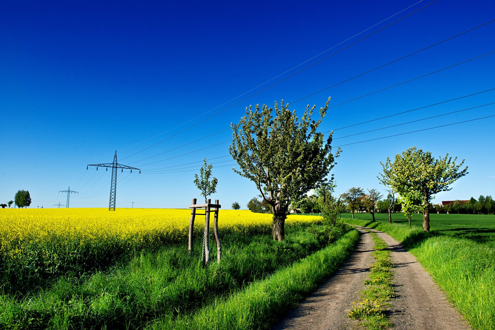 Morgenspaziergang