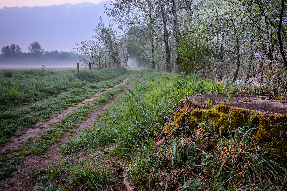 Morgenspaziergang...