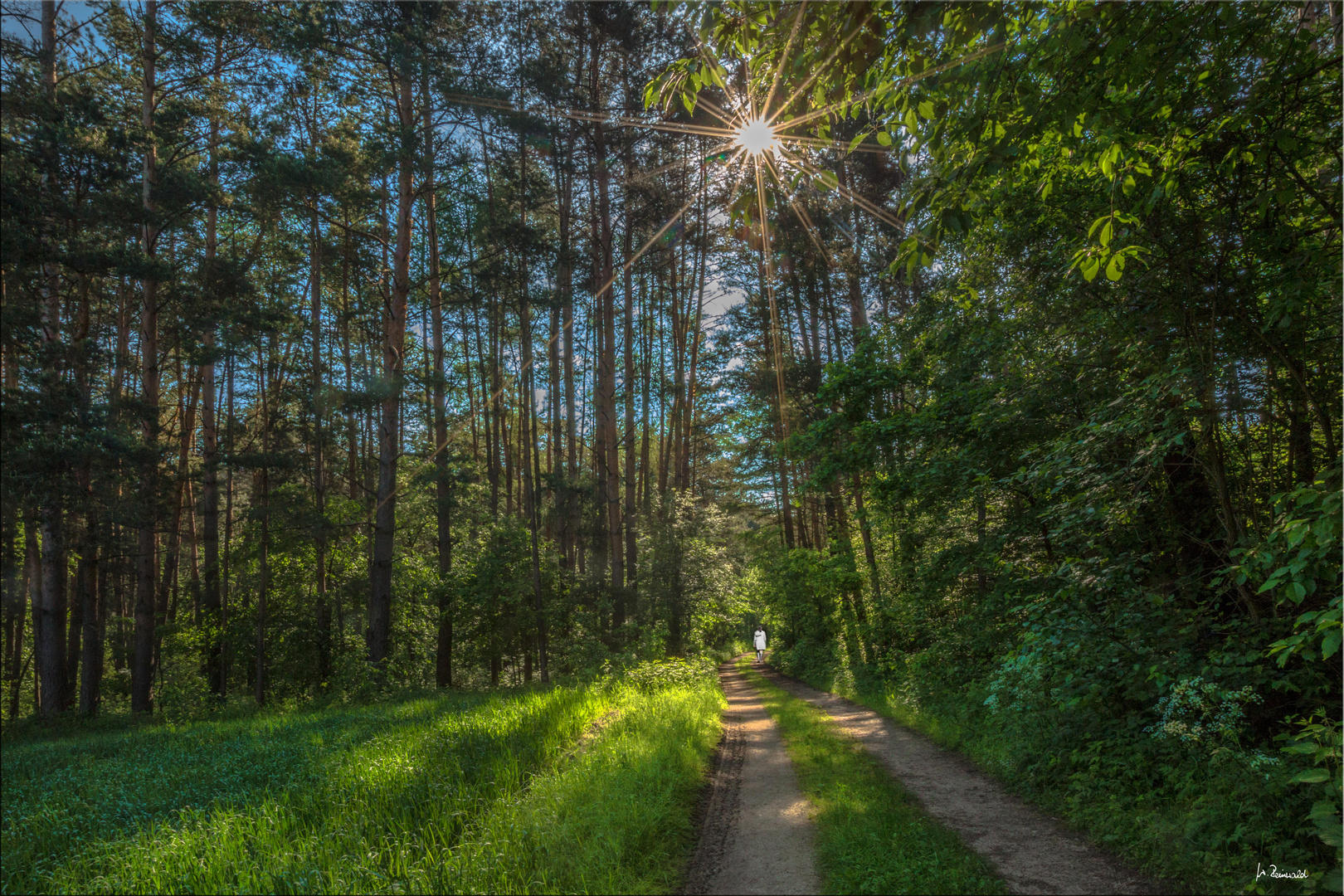 Morgenspaziergang am 05.06.2013 - 2