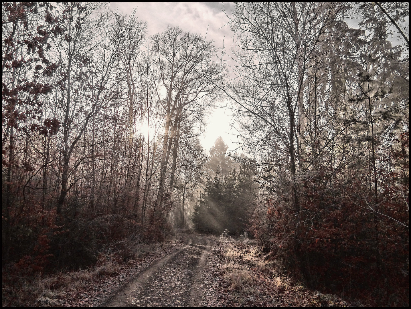 Morgenspaziergang am 18 Januar 2014