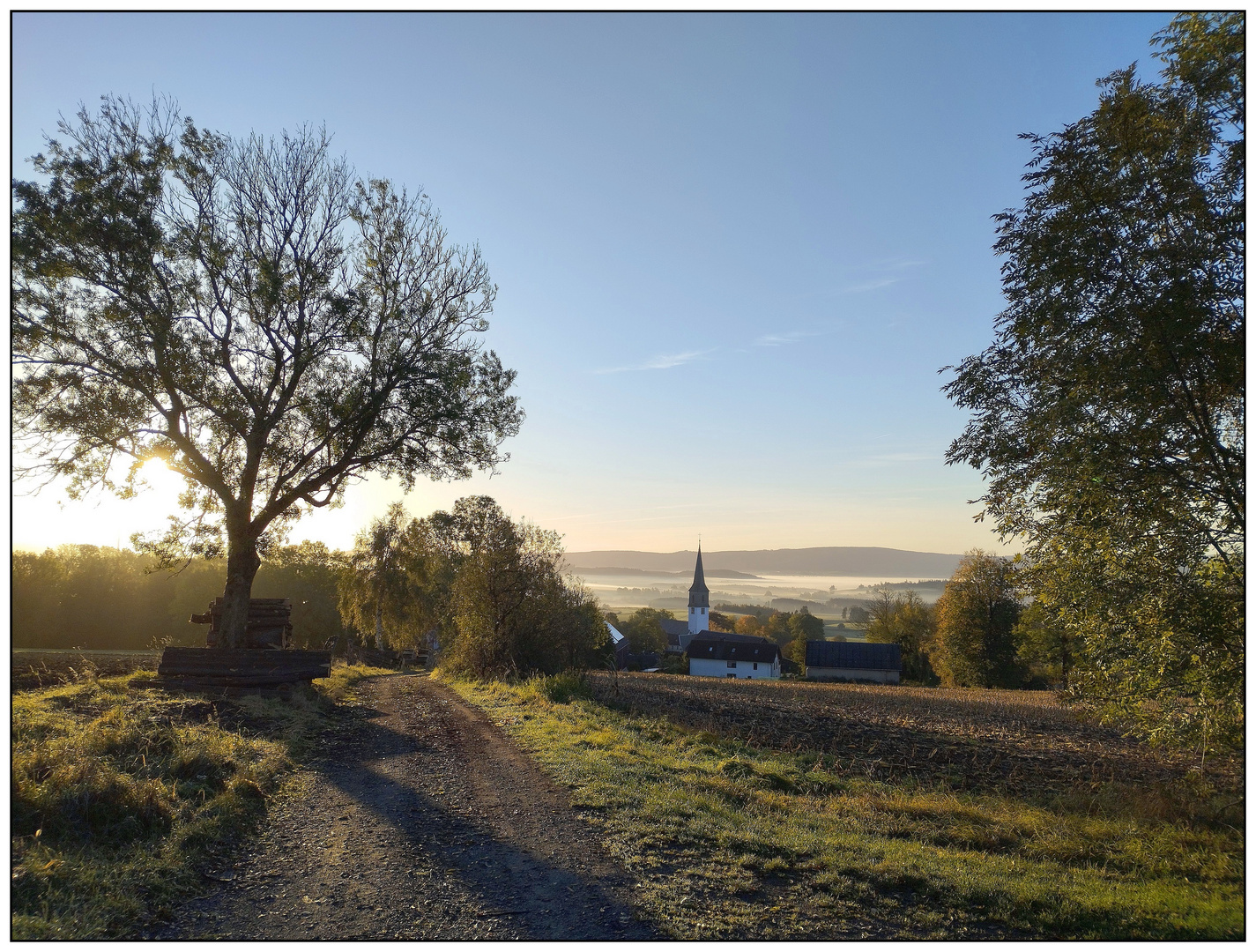 Morgenspaziergang am Ahornberg - November