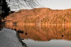 Morgenspaziergang am Alpsee bei Schwangau