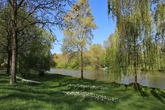 Morgenspaziergang am alten Neckar