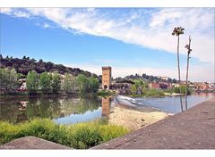 Morgenspaziergang am Arno-Ufer