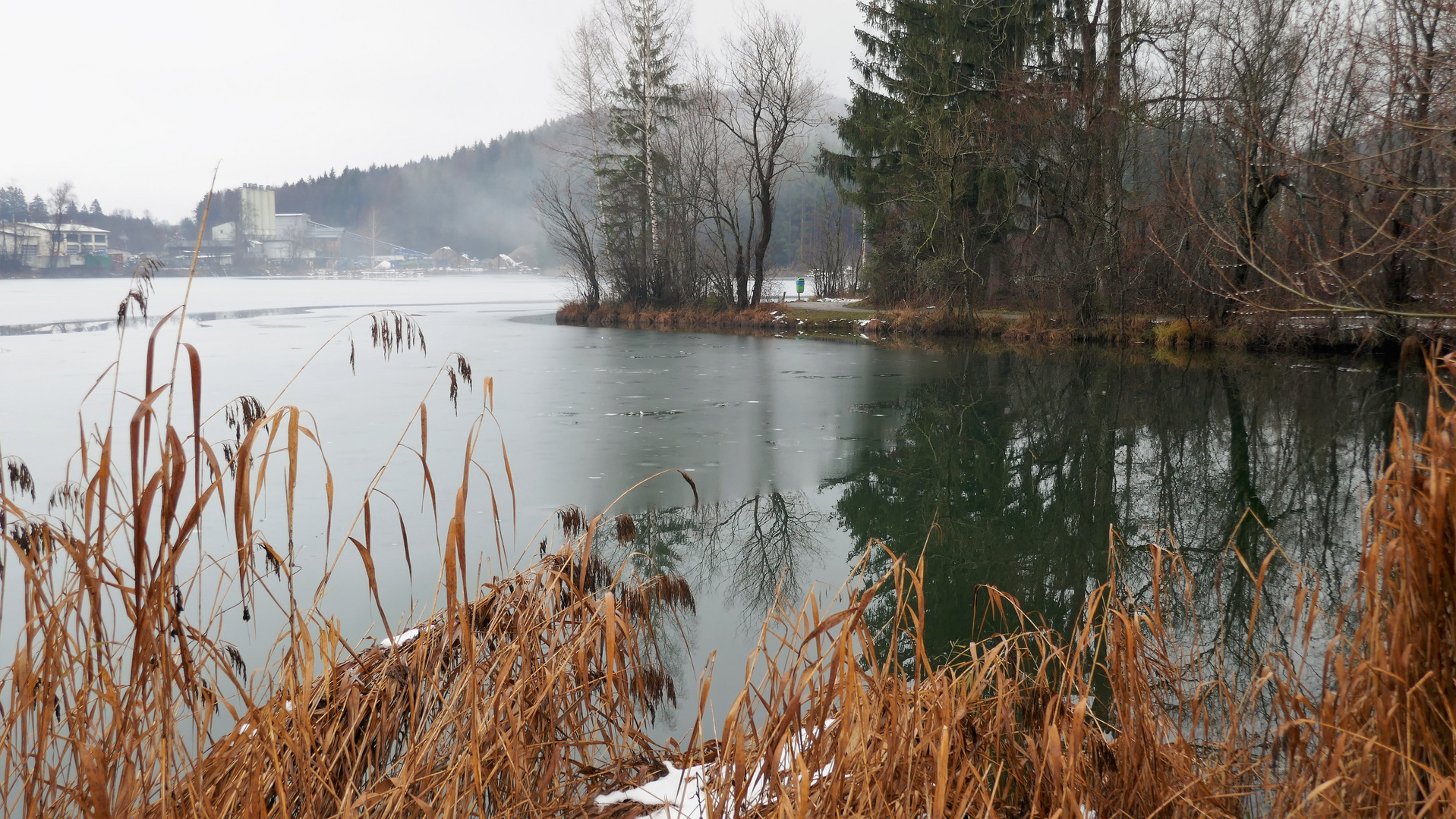 Morgenspaziergang am Baggersee