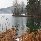 Morgenspaziergang am Baggersee