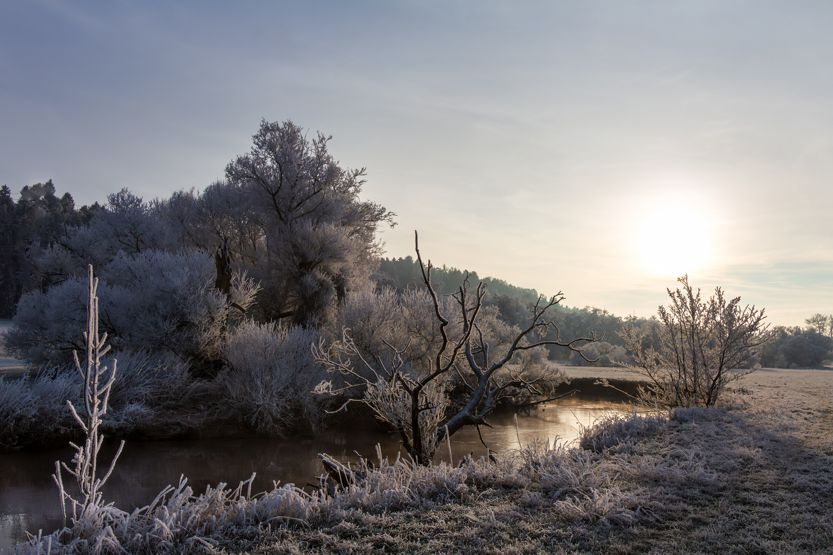 Morgenspaziergang am Fluss