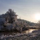 Morgenspaziergang am Fluss