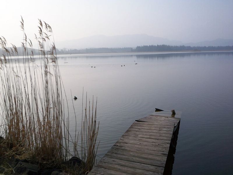 Morgenspaziergang am Hopfensee....