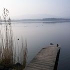 Morgenspaziergang am Hopfensee....