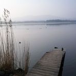 Morgenspaziergang am Hopfensee....